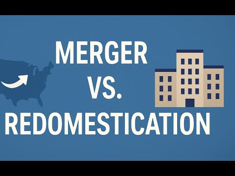 Risks of DIY Florida LLC conversion explained